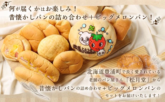 北海道 豊浦 ビックメロンパン おまかせパン12個セット 