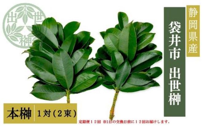 袋井市　出世榊　本榊　純国産　1対（2束）定期便12か月 ※1日交換に間に合うように配送　榊 さかき サカキ 神棚 お供え 国内産 日持ち 大きい 艶やか 静岡県