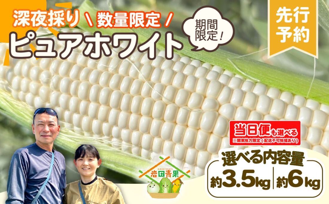 [先行予約 2026年6月下旬以降発送 ] [ 令和8年産 ] 深夜採り 朝出荷 とうもろこし ( ピュアホワイト ) [ 選べる内容量( 3.5kg / 6kg ) / 当日便 ] トウモロコシ 深夜採り 甘い 新鮮 6kg 3.5kg スイートコーン コーン 野菜 極甘 岩田さん 2026 訳あり [AX028ya00][SZRY]