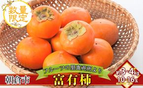 柿 富有柿 10～16玉 (約3～4kg) フルーツの里の直売所より 果物 かき 甘い サクサク食感 甘柿の王様 おやつ 子供 