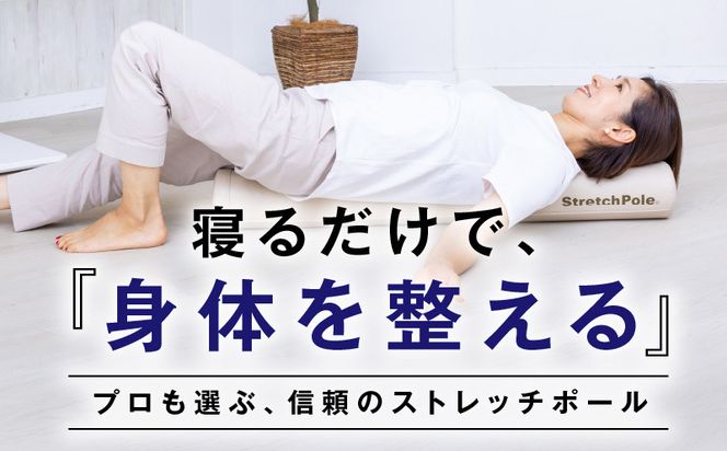 100F072 【LPN社製】ストレッチポールEX ネイビー【正規品 セルフケア ストレッチ エクササイズ 腰痛 肩こり 体幹 コアトレ】