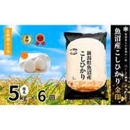 米 定期便 6ヶ月 コシヒカリ 金印 5kg 精米 白米 お米 魚沼産コシヒカリ 新潟米 新潟 十日町市 定期 6回