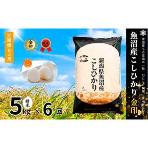 米 定期便 6ヶ月 コシヒカリ 金印 5kg 精米 白米 お米 魚沼産コシヒカリ 新潟米 新潟 十日町市 定期 6回