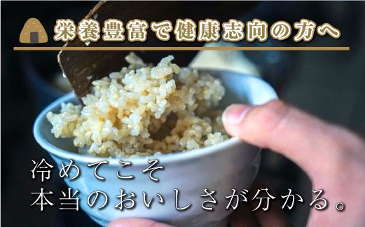 【令和8年産 先行予約】【定期便／全12回】玄米5kg 新潟県魚沼産コシヒカリ「山清水米」
