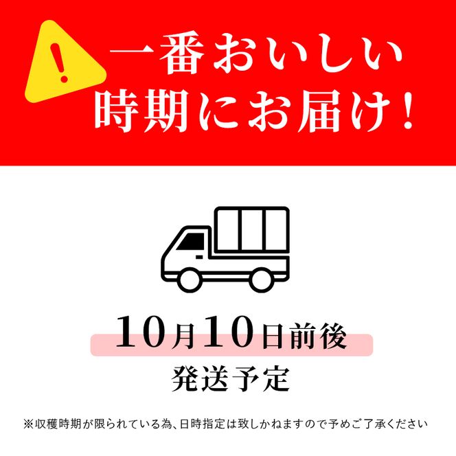 【2026年発送】志賀高原の麓で育った 秋映 （家庭用）約10kg りんご 10kg フルーツ 果物 デザート おやつ 長野県 長野