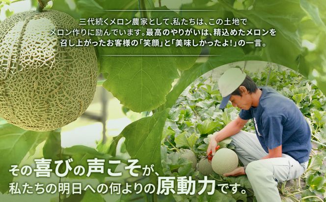 富良野産 キングメロン 大玉 2玉 秀品 計4kg 赤肉 メロン 富良野メロン 果物 フルーツ 甘い ジューシー 新鮮 ブランドメロン 贈り物 ギフト おやつ 夏 北海道 富良野市