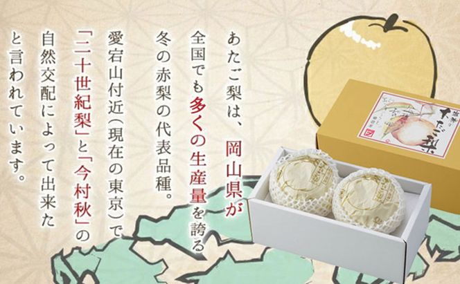 あたご梨 2玉 合計約1.8kg 梨 なし 果物 フルーツ 岡山県産 2026年