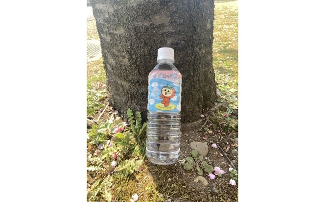 みずほの水 | 水  防災 備蓄 人気 ペットボトル 10000円 国産 長期保存 飲料水 アウトドア キャンプ
