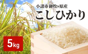 小諸 御牧ヶ原産 こしひかり 5kg 長野 信州 コシヒカリ 精米 美味しいお米 お取り寄せ おこめ 白米