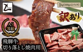 AB-98 【訳あり】A5 飛騨牛 切り落とし 焼肉用 1kg（500g×2パック）