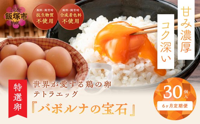 【E7-004】テトラエッグ特選卵『バボルナの宝石』（30個/月）【6カ月定期便】
