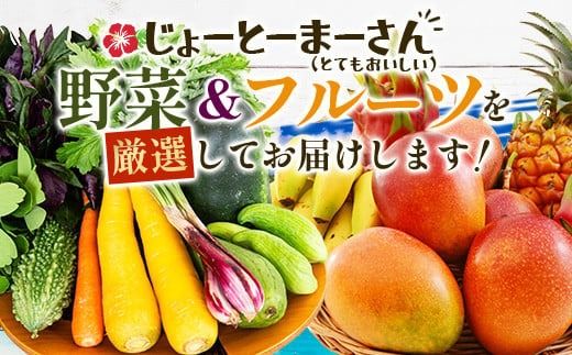 沖縄 石垣島 新鮮 島やさい・くだもの BOX 【 野菜・フルーツ 詰め合わせセット 】1箱 ≪お野菜4～5種類、フルーツ1~2種類≫