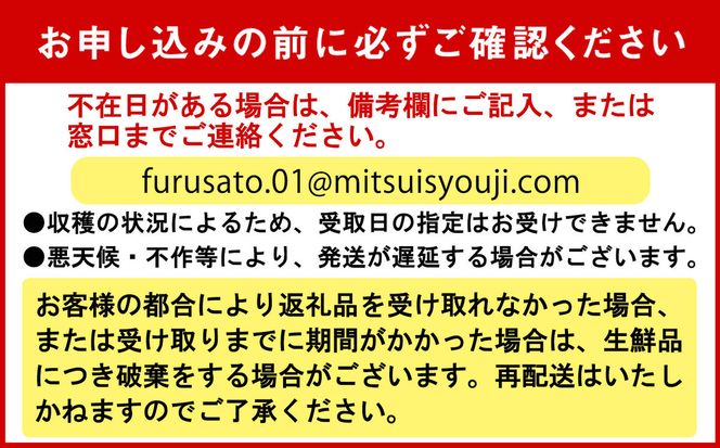 ＜ 9/15までの受付 ＞ 北海道産 ミニトマト 太陽の瞳 L サイズ 1kg 新ひだか町