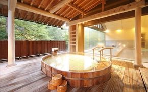 花巻温泉　佳松園宿泊券とレンタカーで花巻の旅ペア 【214】