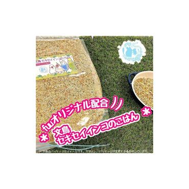 fuu 文鳥・セキセイインコのごはん（400g）［145S44］