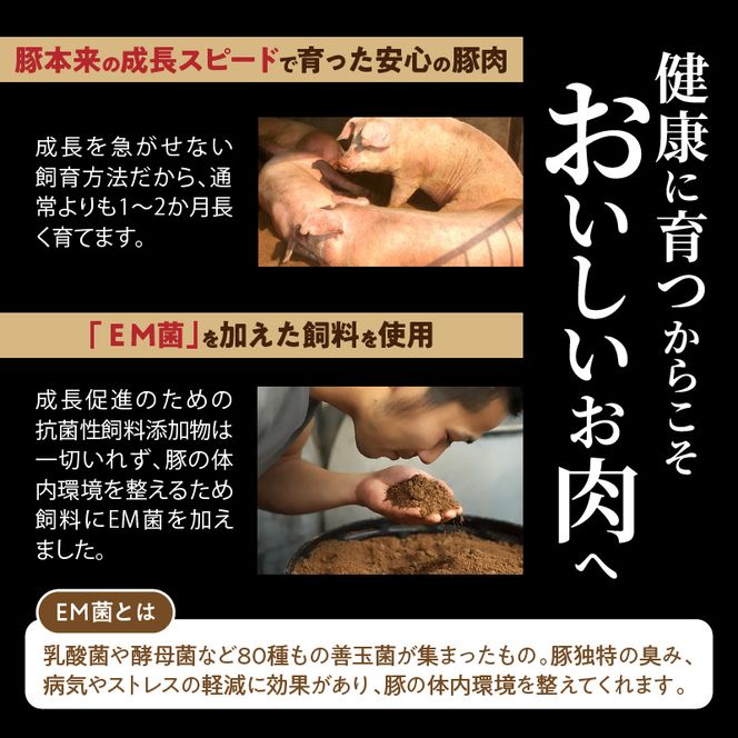 延岡よっとん ロースブロック約1kg N003-YA966
