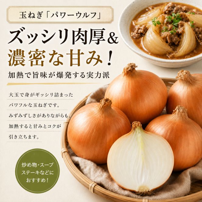 小笠原農園の有機野菜 4種詰合せ（とうや2.5kg・北海こがね2.5kg・にんじん2kg・玉ねぎ2kg）北海道 十勝 幕別《2026年秋出荷先行予約》【 野菜 芋 じゃがいも 人参 たまねぎ セット 野菜セット 】