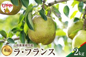 【2025年産 先行予約】ラフランス秀品 2kg 松栗提供 山形県 東根市 hi004-hi062-042-2