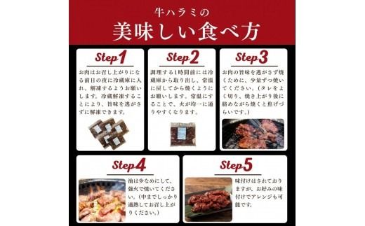 牛ハラミ タレ漬け 600g ( 300g × 2 ) お肉柔らか＆タレ美味しい 小分け 使いやすい ハラミ 牛肉 焼肉 バーベキュー 冷凍 味付き 配送時期が選べる 個包装 調理簡単 便利 アウトドア キャンプ 人気 おすすめ