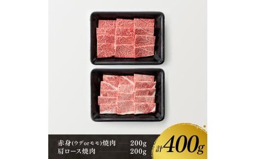 宮崎牛赤身(ウデorモモ)霜降り焼肉2種400g【肉 牛肉 国産 宮崎県産 黒毛和牛 和牛 焼肉 やきにく BBQ 4等級  A4ランク うで モモ 肩ロース ロース 】[D11119]