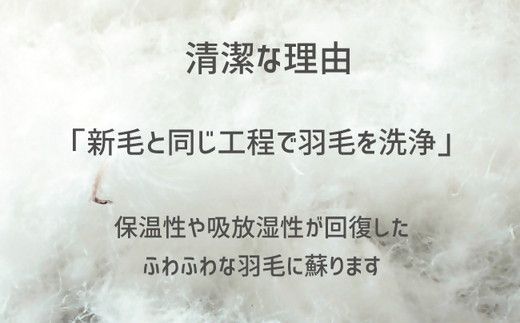 【18.5-2】ザ・羽毛布団 リサイクルダウン ロイヤルグリーン キング 230×210cm リサイクルホワイトダックダウン70％ 羽毛 掛け布団 立体キルト　251-000377-20