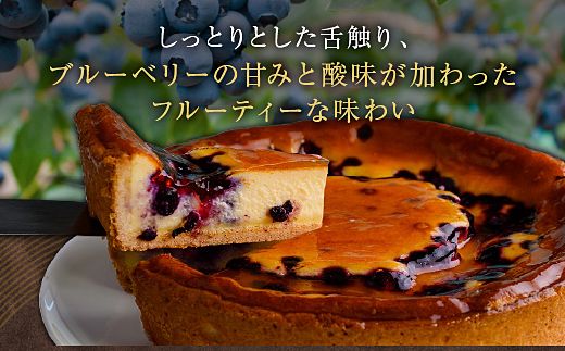 18-05鳥羽国際ホテル  ブルーベリーチーズケーキ