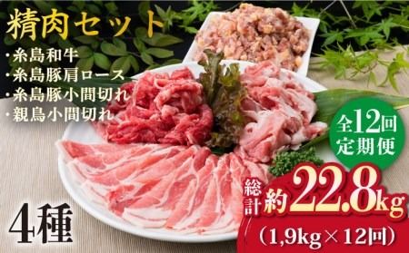 【全12回定期便】牛肉 豚肉 鶏肉 日常使いの精肉セット 1,930g 4～5人前 4種《糸島》【糸島ミートデリ工房】 [ACA199]