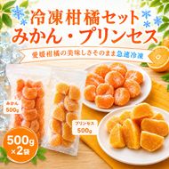 冷凍柑橘セット 愛媛みかん・プリンセス 500g ×2袋 冷凍みかん みかん ミカン 愛媛みかん 蜜柑 柑橘 かんきつ 冷凍ミカン 冷凍柑橘 アイス スムージー シャーベット みかん職人武田屋 愛媛県 愛南町