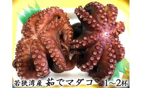 若狭湾産 茹で天然マダコ（1～2杯 約1.3kg～1.5kg）冷蔵でお届け 魚貝類 タコ 蛸 たこ 真蛸 