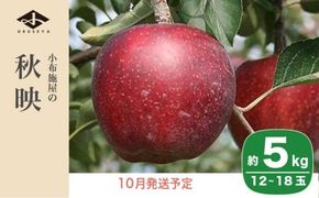 秋映 約5kg 12～18玉 ［小布施屋］ りんご 林檎 リンゴ 果物 フルーツ 令和7年産【2025年10月発送】［A-206］