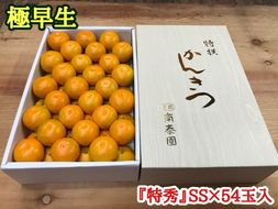 極早生・有田みかん 化粧箱 約3kg『特秀』SSサイズ54玉入_ZF6003n