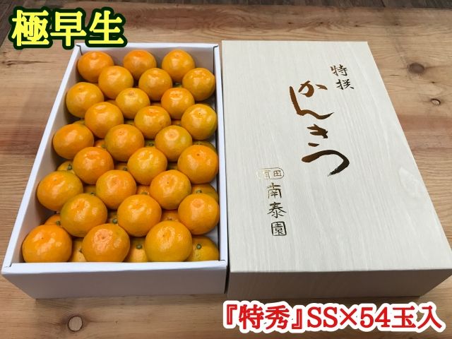 極早生・有田みかん 化粧箱 約3kg『特秀』SSサイズ54玉入_ZF6003n