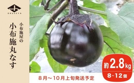 小布施丸なす 約2.8kg 8～12個 ［小布施屋］ 茄子 ナス 信州 伝統野菜 やさい 長野県産 お取り寄せグルメ 食品 数量限定 期間限定 【2025年8月～10月上旬発送】 ［A-227］