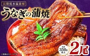 【先行予約】 うなぎの蒲焼 2尾 （合計350g以上） 鰻 うなぎ ウナギ 国産 冷凍 うな重 蒲焼 丑の日 熊本県 八代市 【2026年9月中旬より順次発送】