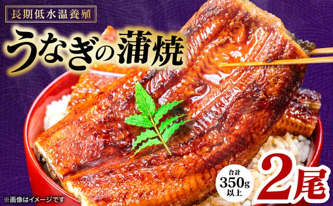 【先行予約】 うなぎの蒲焼 2尾 （合計350g以上） 鰻 うなぎ ウナギ 国産 冷凍 うな重 蒲焼 丑の日 熊本県 八代市 【2026年9月中旬より順次発送】