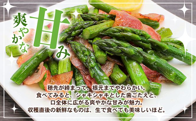 アスパラガス【さぬきのめざめ】夏芽Mサイズ900g グリーンアスパラガス 野菜 柔らかい シャキシャキ 旬の野菜 国産 食材 