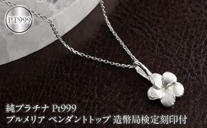 プルメリア 純プラチナ ペンダントトップ 造幣局検定刻印付 pt999 レディース ハワイアンジュエリー ネックレス 170830102pt999 SWAA380-b