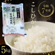 【寄附額改定】【令和7年産】京都丹波・亀岡産 こしひかり 5kg 米 白米 ※精米したてをお届け《契約栽培米 米・食味鑑定士厳選 コシヒカリ 京都丹波産 数量限定 訳あり 簡易包装》※北海道・沖縄・離島への配送不可【～3月31日まで】