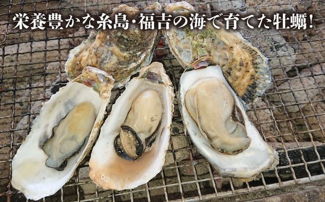 加熱用 福吉の牡蠣 殻付き 3kg (簡易 ナイフ 付き) 福岡県 糸島産 糸島 / かきの阿部 飛龍丸[AZB002]