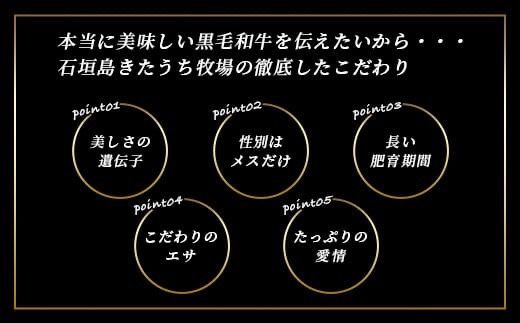 【きたうちプレミアムビーフを贅沢に使用】特製レトルトビーフシチュー 5個【総重量1.1Kg】【石垣島きたうち牧場の美味しい牛肉】こだわりぬいた美味しいお肉のビーフシチュー AM-20