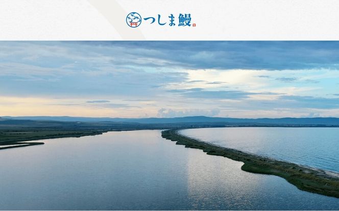 【純国産ウナギ】つしま鰻蒲焼2尾入(300g)