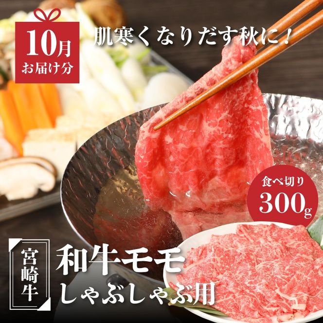 宮崎牛食べ比べセット４回定期便(4回コース・満足) K01_T02