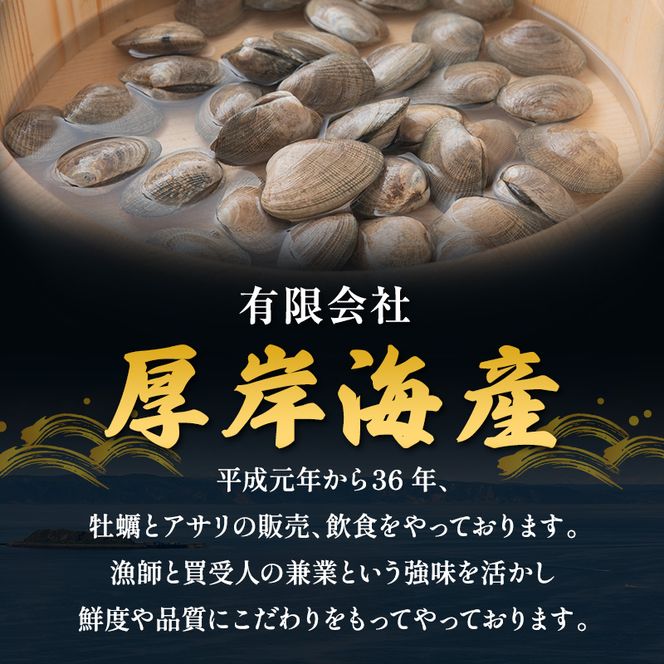 あさり 訳あり 北海道 厚岸産 砂出し済み 活あさり 500g×2 (合計1kg) 【厚岸海産】[ アサリ 魚貝 海鮮 大粒 美味しい 栄養 旨み 砂出し 水洗い 冷蔵 便利 ] 
