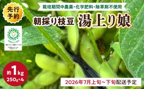 【先行予約／数量限定40】朝採り枝豆（湯上り娘）1kg（250g×4パック）（栽培期間中農薬・化学肥料・除草剤不使用）（2026年7月上旬～発送） おつまみ 農家応援 京都産 えだまめ 朝採れ 農家直送　KU00070