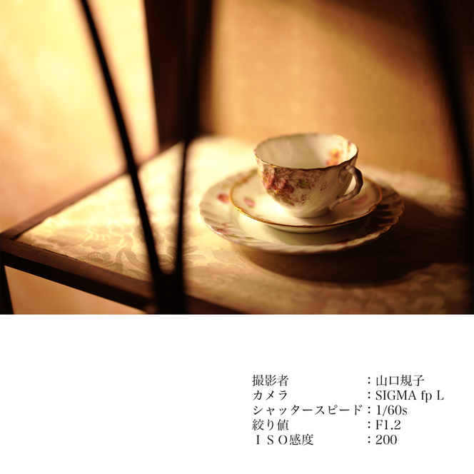 SIGMA 50mm F1.2 DG DN | Art【Lマウント】（数量限定）カメラ レンズ 家電 単焦点