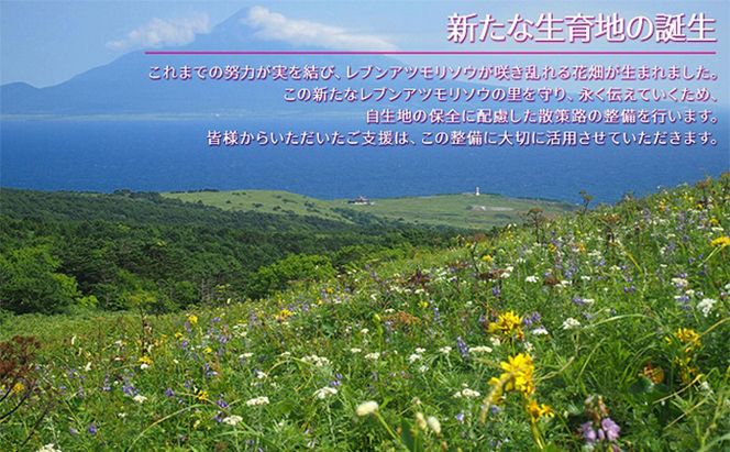 【礼文島リボンプロジェクト】北海道 礼文島産 開きほっけ＆ほっけチャンチャン焼き 詰め合わせ(ピンバッジ付)［船泊漁業協同組合］【 ほっけ ホッケ 干物 開きほっけ ちゃんちゃん焼き 郷土料理 自然保護 寄付 北海道産 】