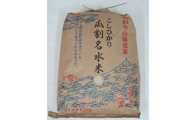 令和8年度産 若狭のコシヒカリ 瓜割名水米 10キロ お米 b1102