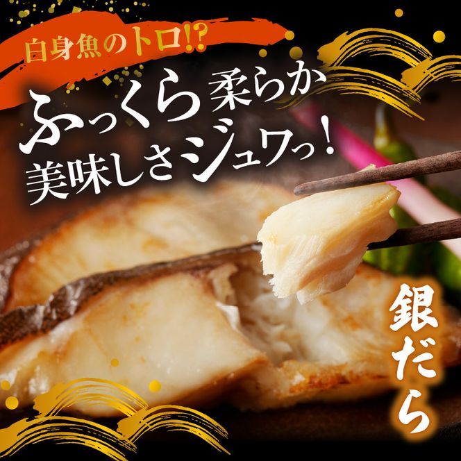 魚鶴自慢 豪華お魚セット 全6回定期便_G60-T89
