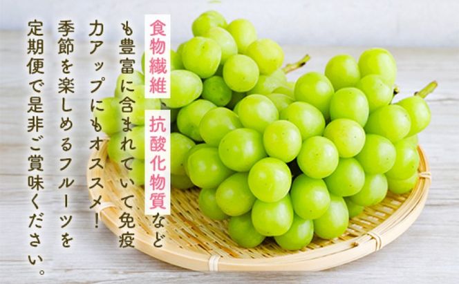 定期便 5ヶ月 果物 先行予約 シャインマスカット 梨 柿 果物 ※配送不可：離島