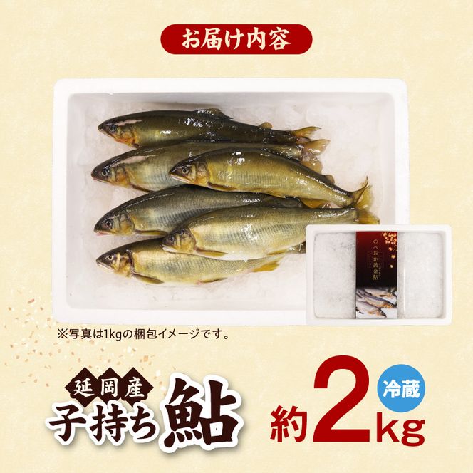 【先行予約】2026年10月下旬より発送開始【冷蔵】子持ち鮎約2kg N070-YB728-1